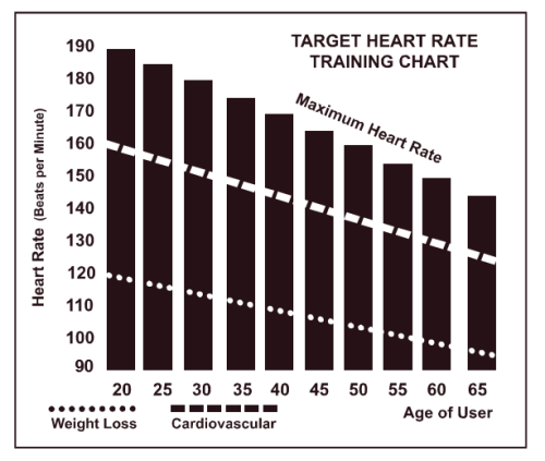 heart rate training